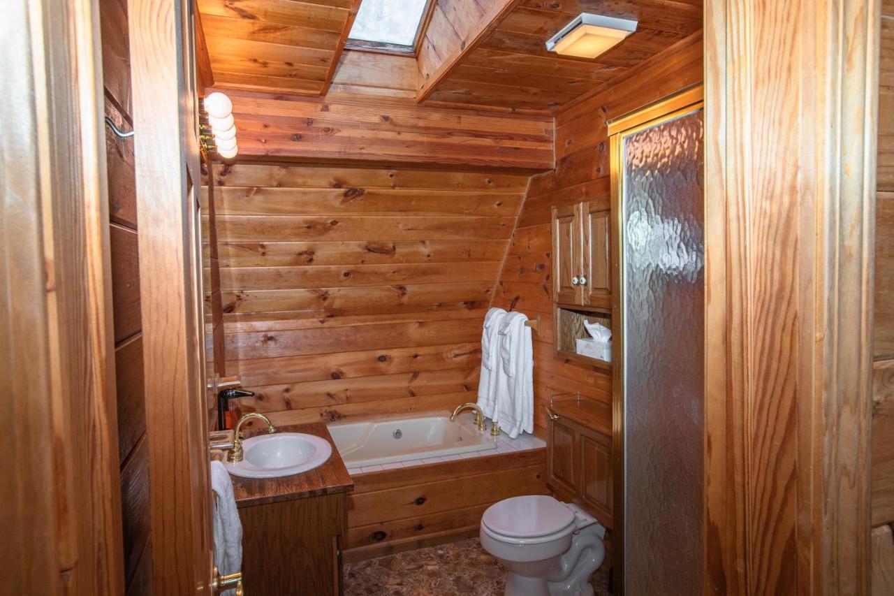 Treetops Cabin Easy To Asheville With Fast Wifi And Great View Swiss المظهر الخارجي الصورة
