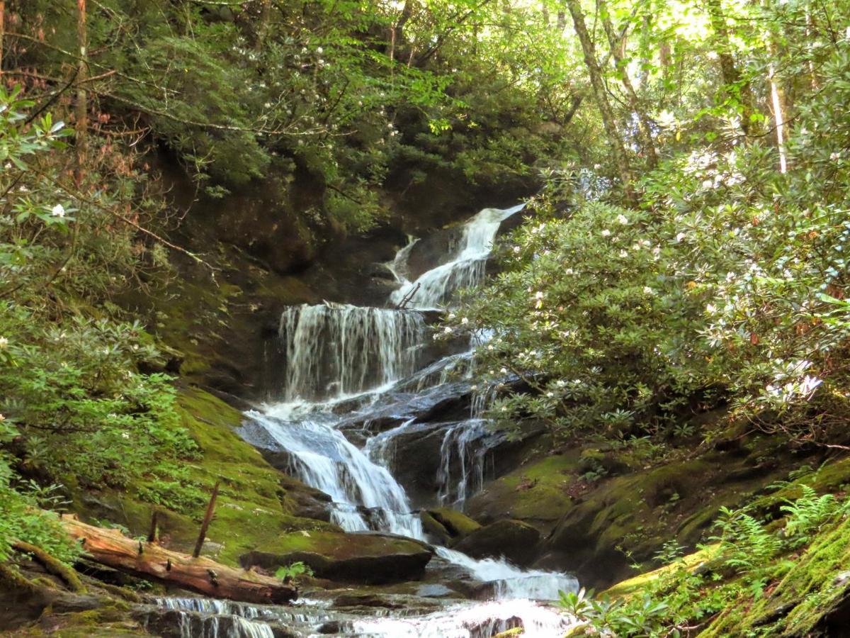 Treetops Cabin Easy To Asheville With Fast Wifi And Great View Swiss المظهر الخارجي الصورة
