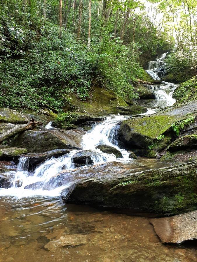 Treetops Cabin Easy To Asheville With Fast Wifi And Great View Swiss المظهر الخارجي الصورة