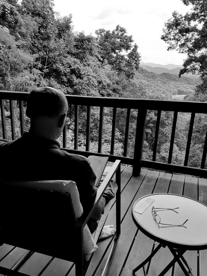 Treetops Cabin Easy To Asheville With Fast Wifi And Great View Swiss المظهر الخارجي الصورة